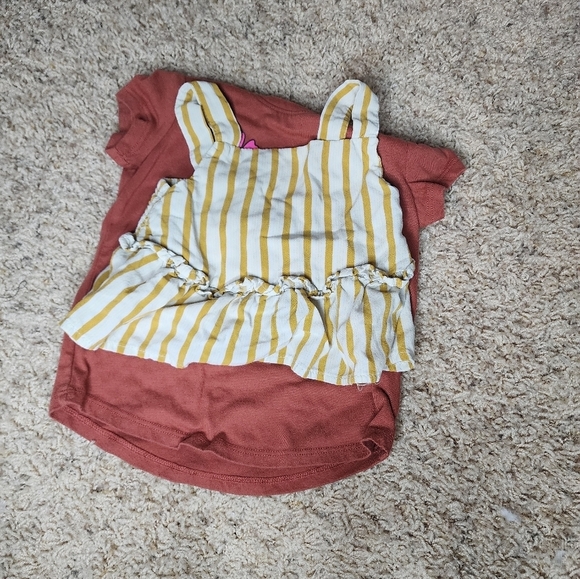 1 Box of 19 Toddler Girls Size 2T Items Mixed - Picture 3 of 16